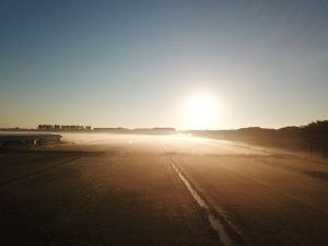 Delfse hout in Delft 2018