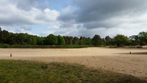 Loonse en Drunense duinen