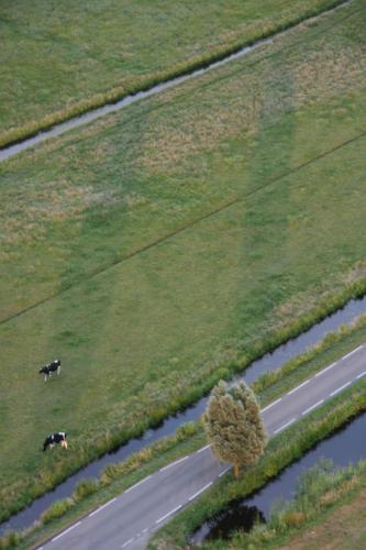 ballonvaart-50-jaar-bulder-190