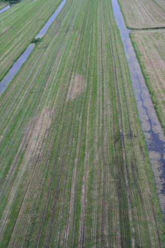 ballonvaart-50-jaar-bulder-201